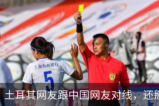 土耳其网友跟中国网友对线，还掰扯突厥人历史，他们怎么敢的？