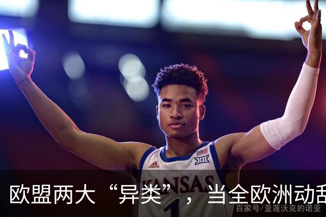欧盟两大“异类”，当全欧洲动乱时，靠中国走上“捷径”躲过一劫